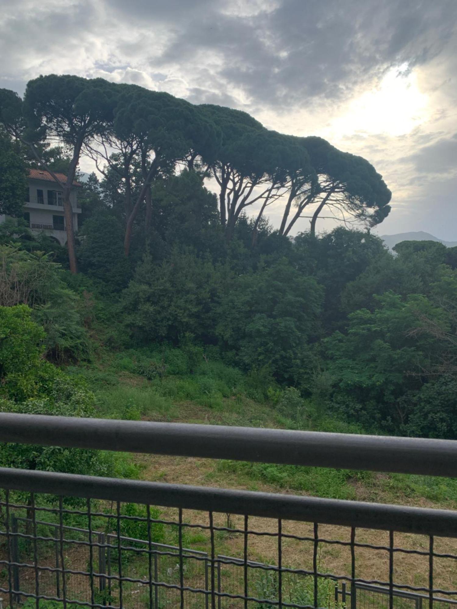 Villa Monte Boutique Apartments In Herceg Novi Eksteriør billede