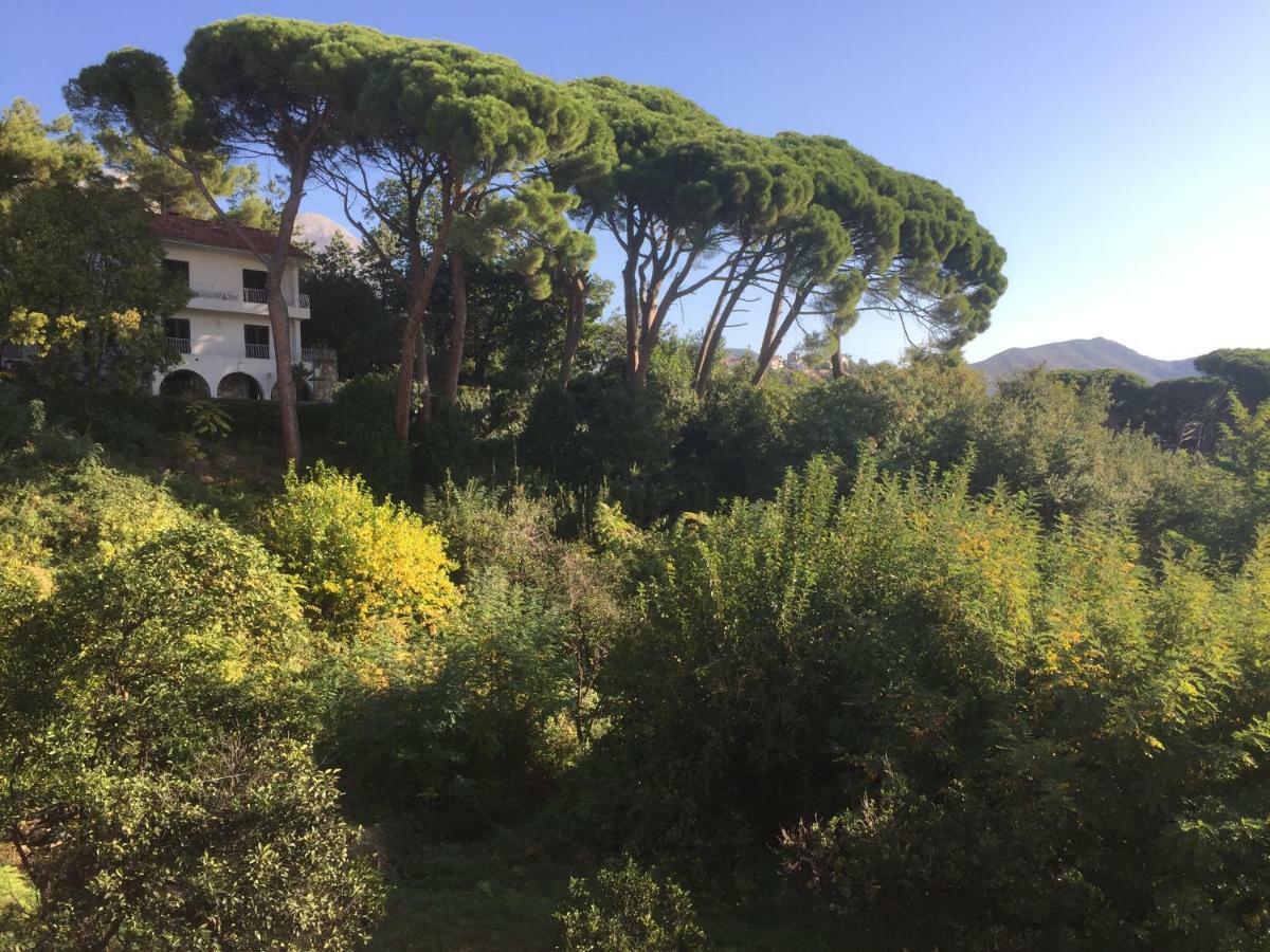 Villa Monte Boutique Apartments In Herceg Novi Eksteriør billede
