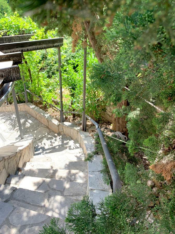 Villa Monte Boutique Apartments In Herceg Novi Eksteriør billede